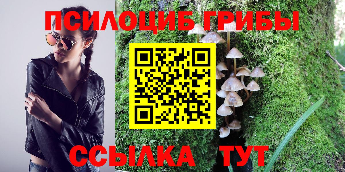 Буйнакск  Псилоцибиновые грибы Magic Shrooms  Вход с VPN 